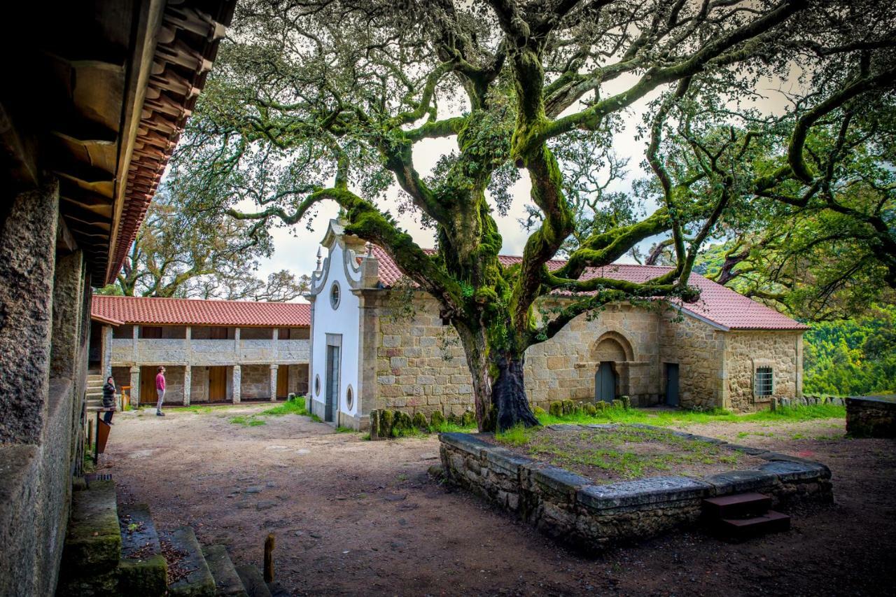Casa Da Vila Cerveira Vila Nova de Cerveira Εξωτερικό φωτογραφία